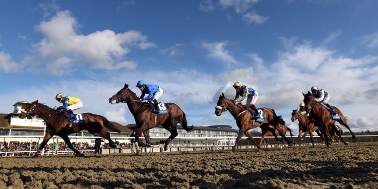 Hoy en Sky Sports Racing: Southwell organiza una tarjeta de siete carreras con Deauville también en vivo el martes | Noticias de carreras