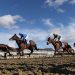 Hoy en Sky Sports Racing: Southwell organiza una tarjeta de siete carreras con Deauville también en vivo el martes | Noticias de carreras