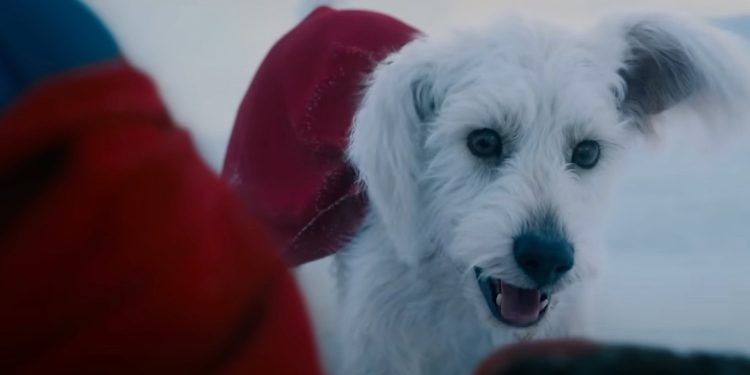 Krypto brilla en imágenes nuevas de Superman de James Gunn