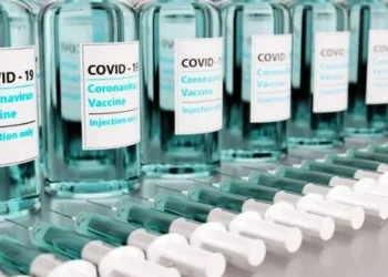 Wayne Root: Ningún estadounidense ha dicho nunca: «Lamento rechazar la vacuna Covid». Entonces, aquí hay tres pasos simples, fáciles, razonables y moderados que el presidente Trump puede tomar para mantenernos a salvo. | El experto de la puerta de entrada