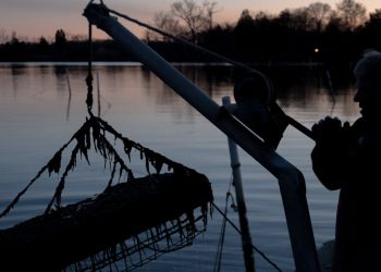 ¿Fertilizante de lodos de aguas residuales de Maryland? Los virginianos dicen que no gracias.