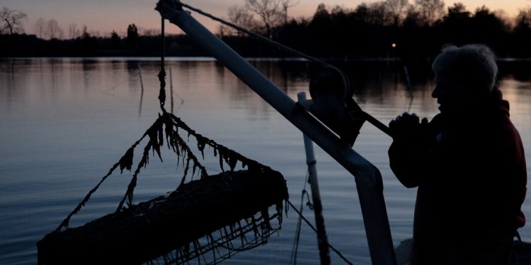 ¿Fertilizante de lodos de aguas residuales de Maryland? Los virginianos dicen que no gracias.