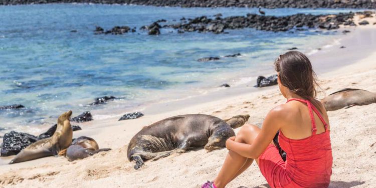 ¿Cuándo es el mejor momento para visitar Galápagos? Una guía completa