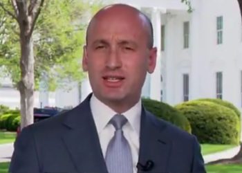 ¿Hora de Miller? Según los informes, el favorito de MAGA emerge como el principal candidato para convertirse en el próximo asesor de seguridad nacional de Trump por dos razones críticas | El experto de la puerta de entrada