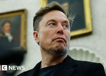 Elon Musk se despide de la Casa Blanca, pero dice que Dege continuará