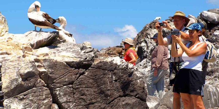 Qué ponerse en Galápagos: la mejor guía de ropa