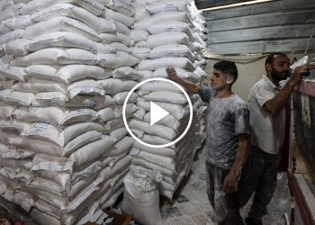 La ayuda finalmente llega a Gaza después de un bloqueo israelí de dos meses