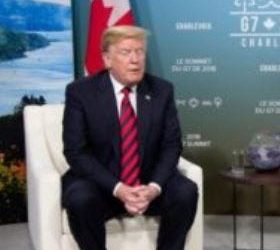 Trump está causando una ola liberal en todo el mundo