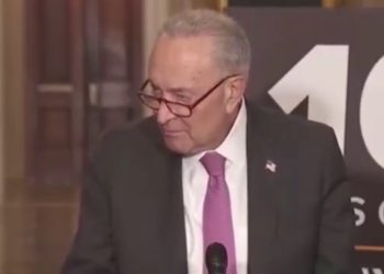 ¡Gracioso! El periodista termina toda la carrera de Schumer después de atacar a Trump en números de encuestas de 100 días falsos (videos) | El experto de la puerta de entrada