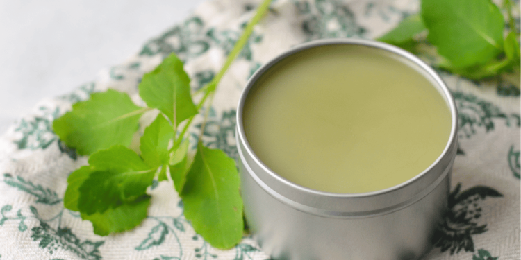 Diy Jewelweed Salve para hiedra venenosa (¡y más!)