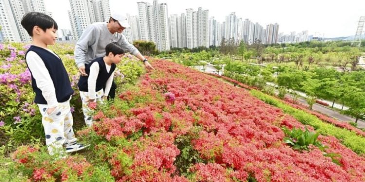 Piense en la ciudad de Hanam para unas vacaciones de bienestar en Corea