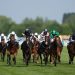 Hoy en Sky Sports Racing: Newbury organiza cartas competitivas en vivo el viernes por la tarde | Noticias de carreras