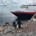 Los mejores cruceros de buques pequeños a la Antártida