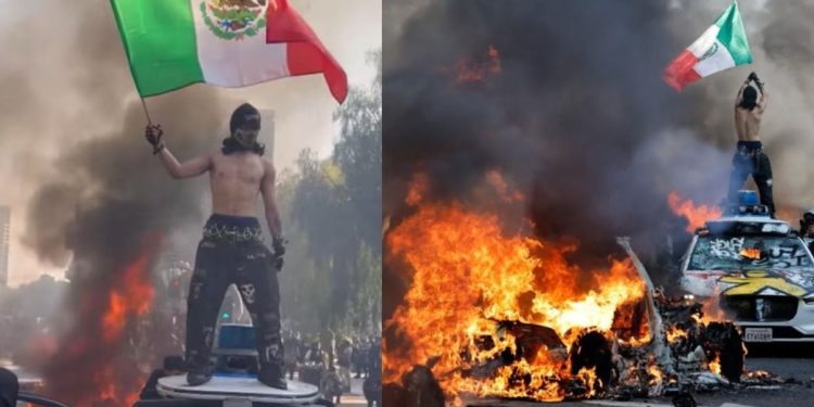 Los inmigrantes ilegales no se transmiten por la pechuga en Buc-Ee's