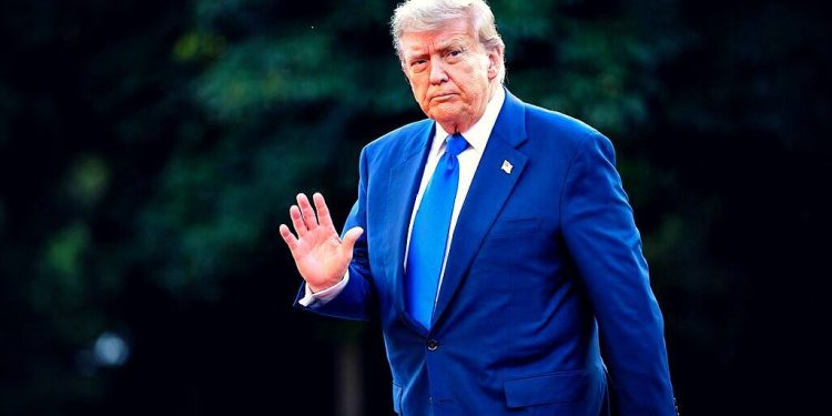 Dominante Trump se ha reunido con Zelensky adecuado al margen de la Cumbre de la OTAN (videos) | El experto de la puerta de entrada