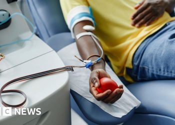 Australia eleva la prohibición de donación de plasma para hombres homosexuales, bisexuales en el mundo primero