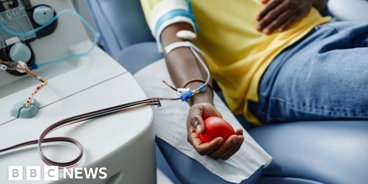 Australia eleva la prohibición de donación de plasma para hombres homosexuales, bisexuales en el mundo primero