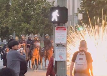 Violentos alborotadores disparan proyectiles explosivos en los caballos de la policía: use fuegos artificiales y explosivos para atacar a la policía (video) | El experto de la puerta de entrada