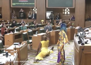 WTH: Oregon House of Represents Hold Drag Show en el piso de la casa después de aprobar la resolución para «reconocer y honrar la rica historia de la resistencia negra de Oregon» (Video) | El experto en la puerta de entrada