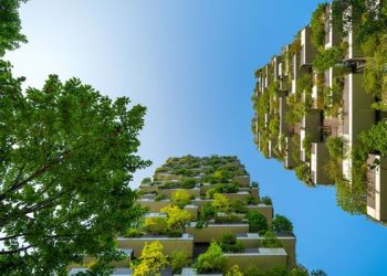 Cómo los bosques de gran altura pueden transformar la vida de la ciudad y hacernos más felices