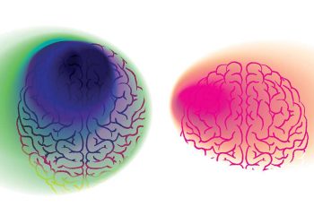 Un nuevo estudio desafía los modelos estándar de adicción