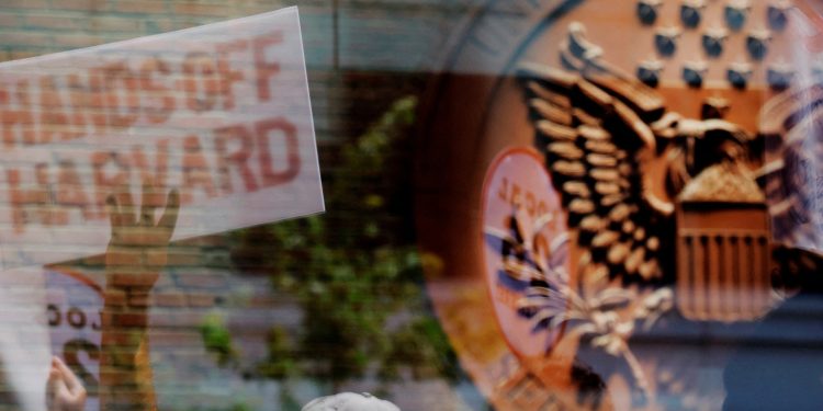 Programa de intercambio de becas de la Casa Blanca de Trump Harvard | Noticias de Donald Trump