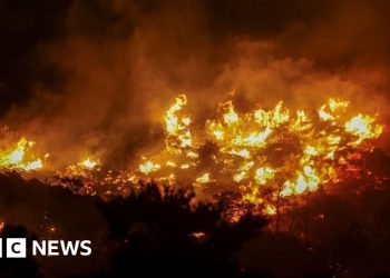 Evacuaciones de masa a medida que el incendio se enfurece cerca de IERAPETRA, Creta