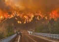 'Apocalypse': los incendios forestales de Turkiye llegan a la ciudad noroeste de la llave mientras cientos de huyen | Noticias de crisis climática