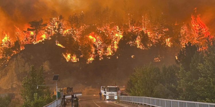 'Apocalypse': los incendios forestales de Turkiye llegan a la ciudad noroeste de la llave mientras cientos de huyen | Noticias de crisis climática