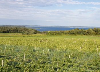 Las bodegas de Michigan ganan $ 50 millones en lucha contra las reglas locales de zonificación