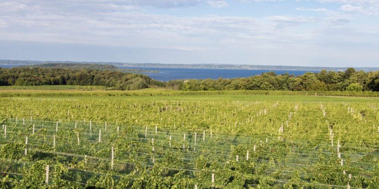 Las bodegas de Michigan ganan $ 50 millones en lucha contra las reglas locales de zonificación