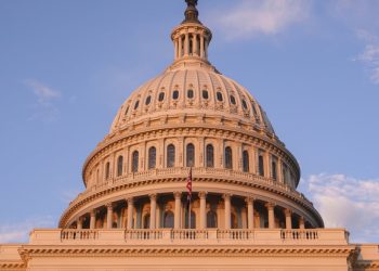 Doge tiene una herramienta de IA para ayudar a decidir qué regulaciones federales 'eliminar'