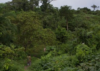 Los misioneros están apuntando a tribus aisladas en Brasil con dispositivos de audio con energía solar, según la investigación