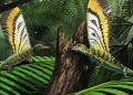 Adorable Triásico Reptil usó su extraña aleta trasera para comunicarse