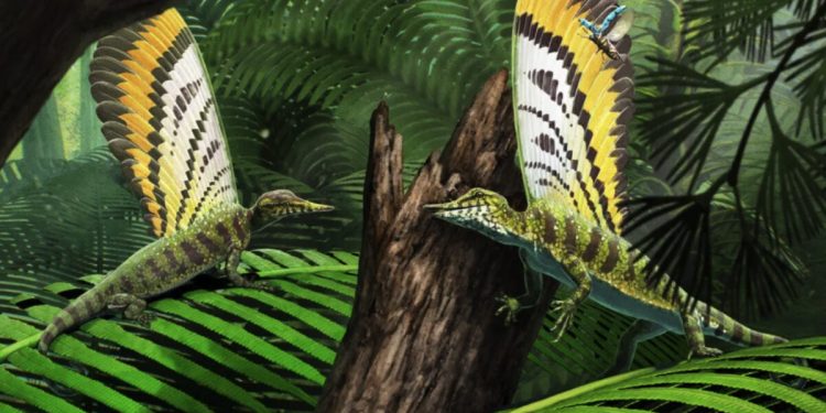 Adorable Triásico Reptil usó su extraña aleta trasera para comunicarse