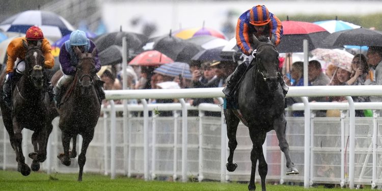 Whirl subraya las credenciales del Prix de L'Arc de Triomphe con Stakes Nassau dominantes triunfo en Goodwood | Noticias de carreras