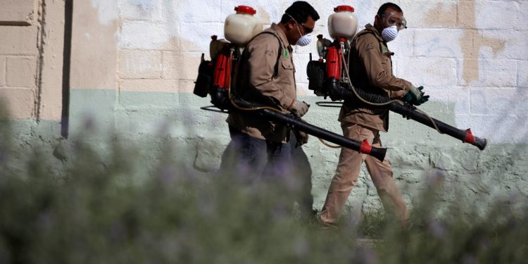 ¿Cuál es el virus Chikungunya, cómo están luchando países como China? | Noticias de salud