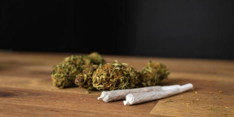 este es el nuevo proyecto