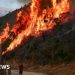 Los incendios forestales se enfurecen en el sur de Europa a medida que las temperaturas pasan 40c