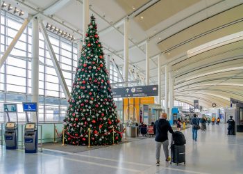 Perspectivas de viajes de vacaciones 2025: ¿Cuándo es el mejor momento para reservar vuelos a casa para las vacaciones?