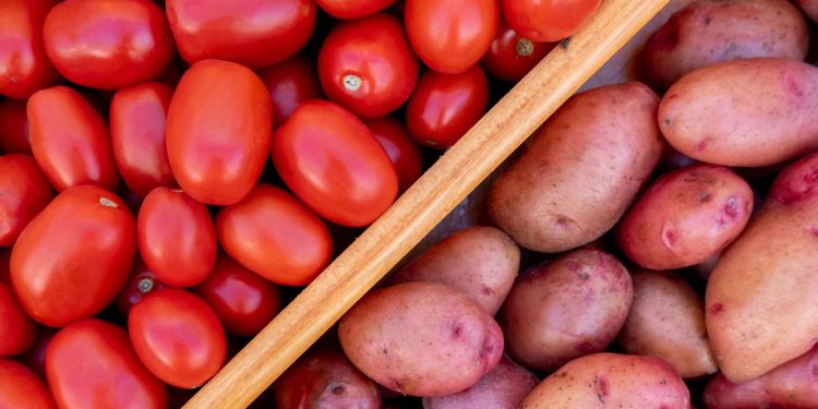 La ciencia revela los sorprendentes orígenes de la papa