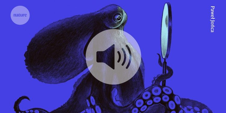 Cómo detectar la conciencia en personas, animales e incluso ai