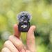 DJI revela el micrófono 3, un seguimiento del micrófono de bolsillo de los pies de culto