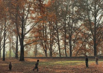 Los vecinos llamaron a CPS en esta madre de Virginia por dejar que los niños jueguen afuera