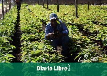 Abinader DA 143 Pensiones Especiales A Profesionales Agropecuarios