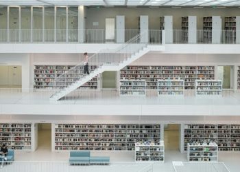 ¿Se han socavado las bibliotecas? | Eurozina