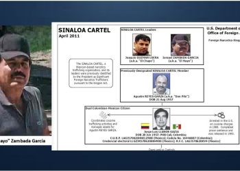 Los funcionarios mexicanos en peligro de ser nombrados como líder del cartel se declaran culpables en la corte estadounidense | El experto de la puerta de entrada