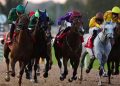 Hoy en Sky Sports Racing: Londres y The South miran el título de la liga de carreras de sello en Southwell | Noticias de carreras