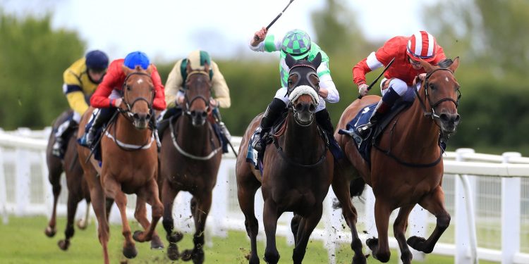 Hoy en Sky Sports Racing: Lingfield y Ripon Host Flat Action | Noticias de carreras