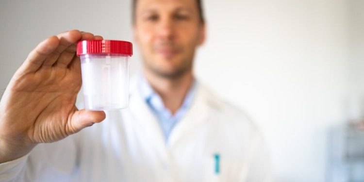 ¿Qué trabajos tecnológicos no prueba de drogas? Que podría depender